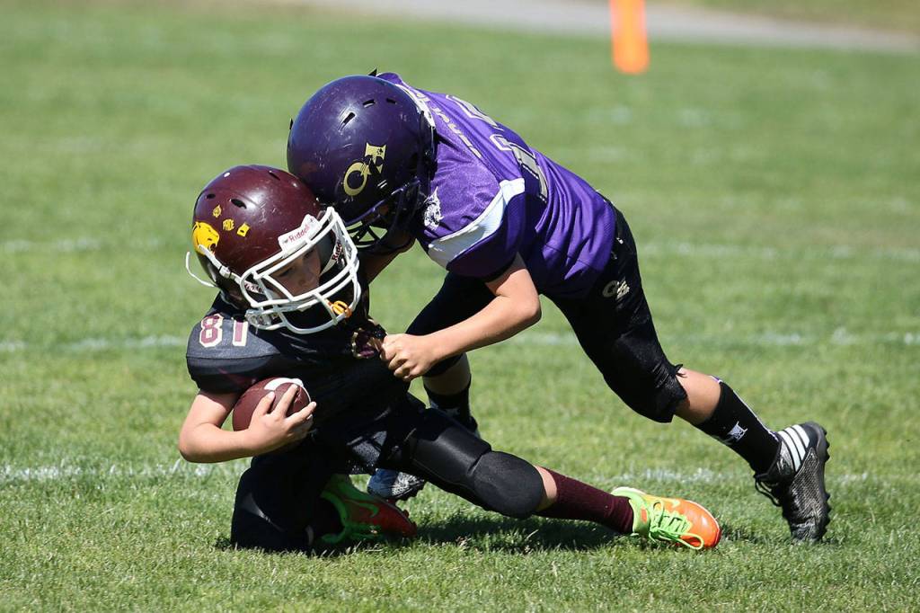 Chad Glaspie records a tackle for a loss in the Peewee game Saturday. (Photo by John Fisken)