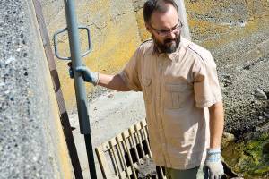 Failing dike a concern for homeowners association