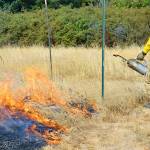 Fire-starters: Using flames to clear way for prairie’s native plants