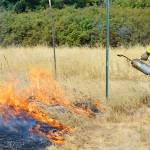 Dan Grosboll, from Joint Base Lewis-McChord, oversees a prescribed burn Thursday at the Admiralty Inlet Natural Area Preserve. Members of JBLM helped with the burn as part of training for both wildland and controlled fires. The burn Thursday was part of an effort to restore prairie lands on the island. Photo by Laura Guido/Whidbey News-Times
