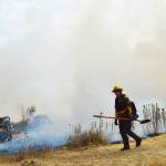 Kathryn Hill, holding boss for the Center for Natural Lands Management, walks in front of a controlled burn that took place Thursday at the Admiralty Inlet Natural Preserve. Photo by Laura Guido/Whidbey News-Times