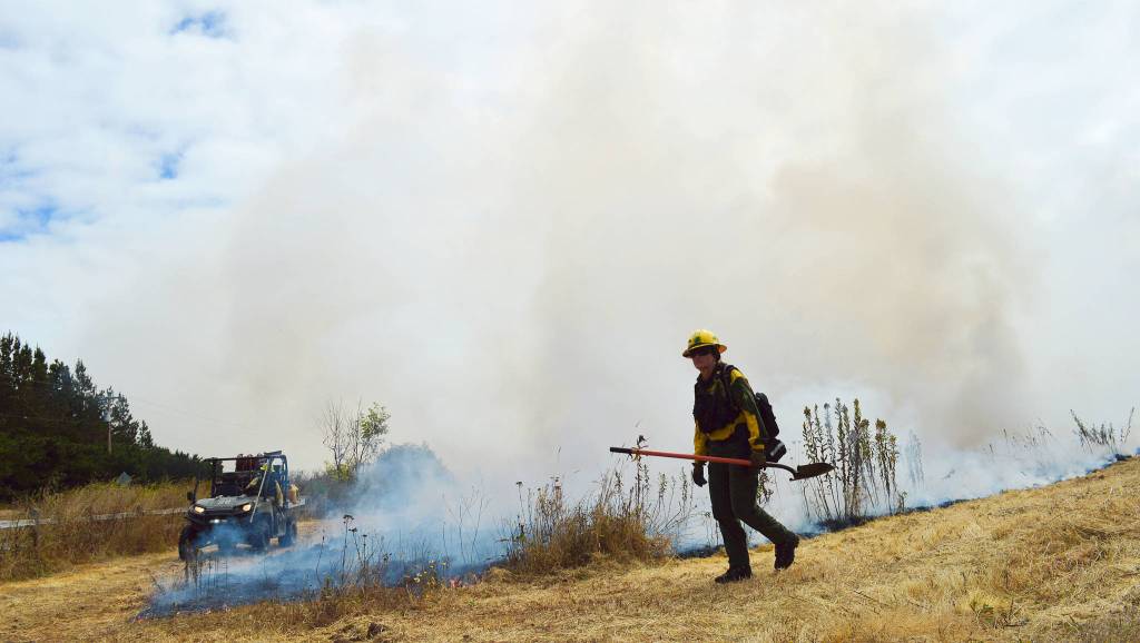 Kathryn Hill, holding boss for the Center for Natural Lands Management, walks in front of a controlled burn that took place Thursday at the Admiralty Inlet Natural Preserve. Photo by Laura Guido/Whidbey News-Times