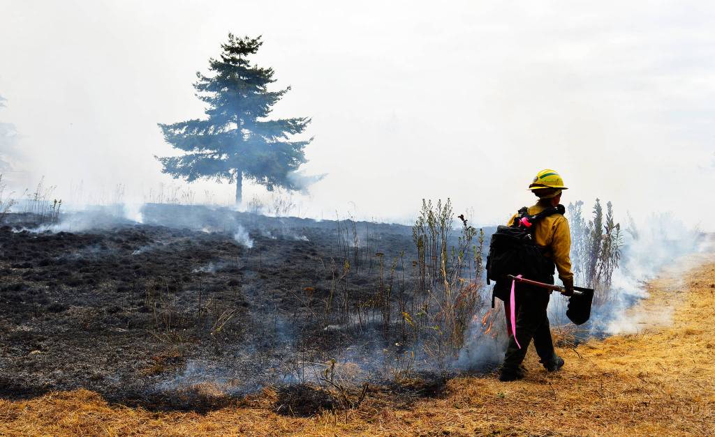 Amber Martens, from Joint Base Lewis-McChord, ensures the fire is safely extinguished after a prescribed burn on Thursday at the Admiralty Inlet Natural Preserve. The burn was part of an effort to restore prairie lands on the island. Photo by Laura Guido/Whidbey News-Times