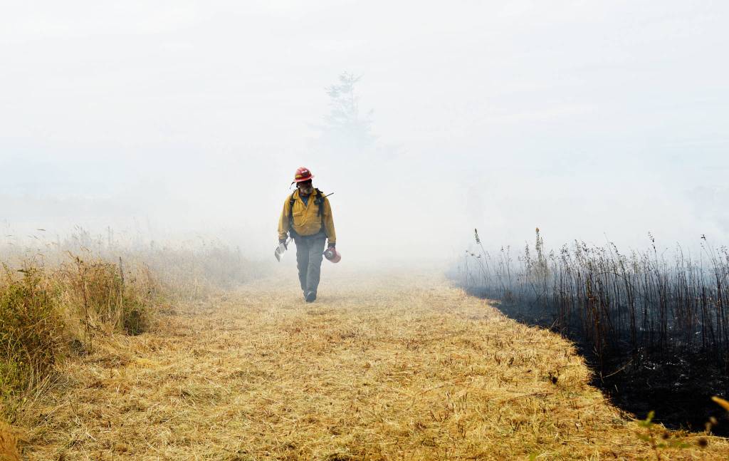 Fire-starters: Using flames to clear way for prairie’s native plants
