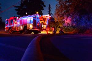 Two boys suspected in Freeland house fire