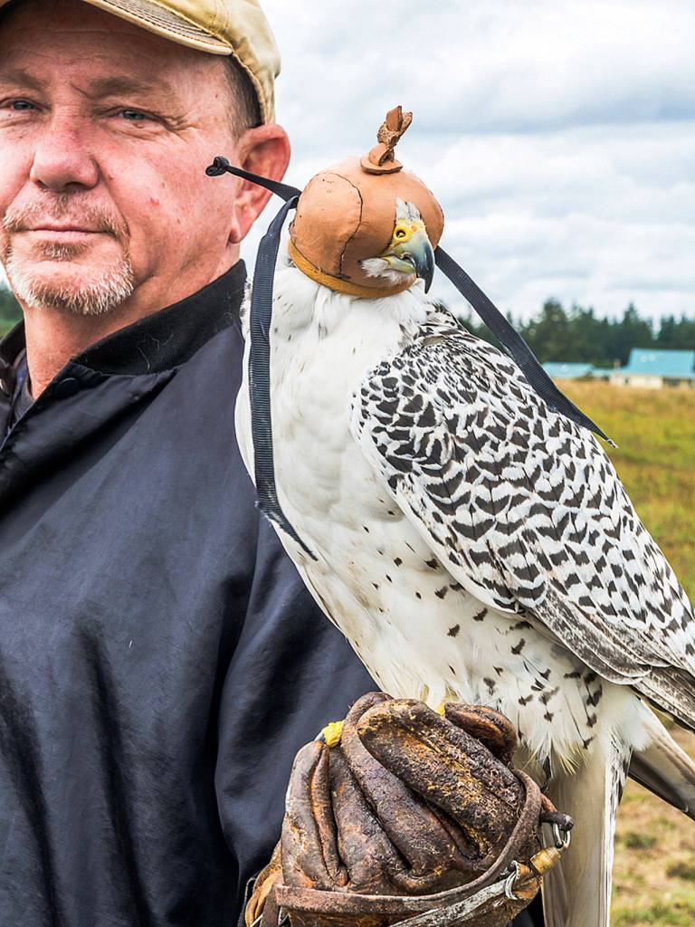 Sammy Holloway with a hybrid gyrfalcon.