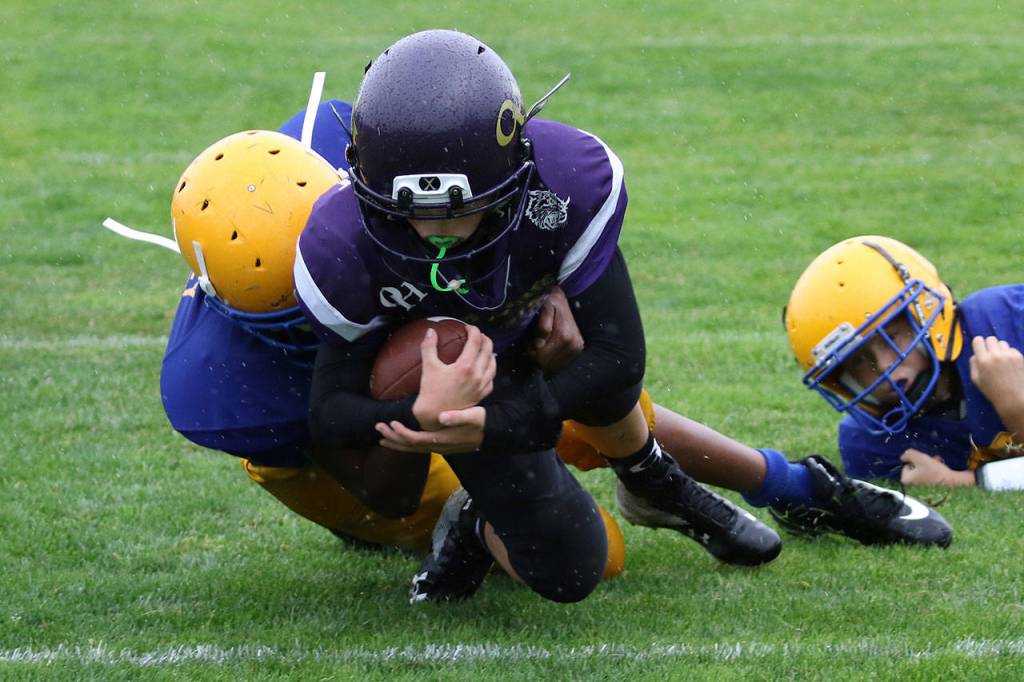 Tyler Abbott sneaks in for a touchdown for the Oak Harbor Juniors. (Photo by John Fisken)