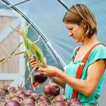 All things Whidbey focus of 10-day event starting Friday