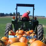 Piling on the pumpkins and sprucing up the barn