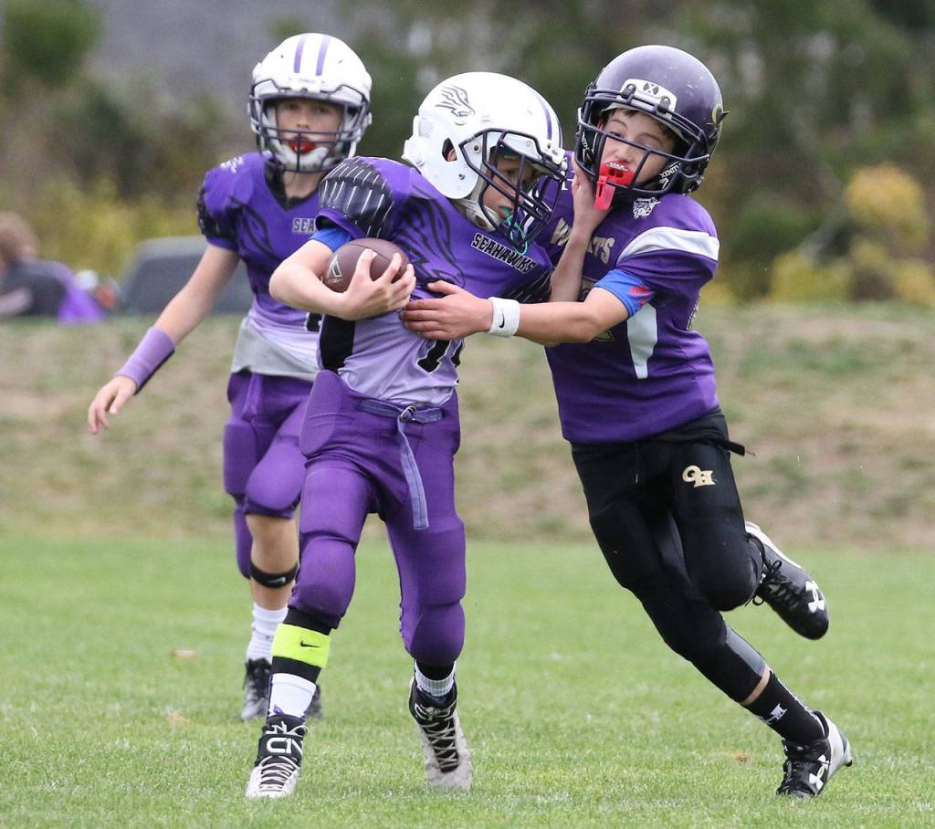 Carson Lang, right, wrestles down an Anacortes ball carrier for the Oak Harbor Midgets.(Photo by John Fisken)