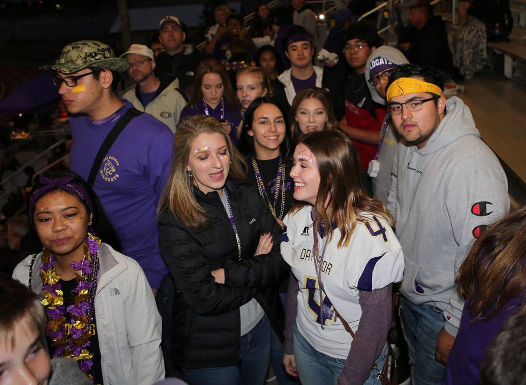 Game-day experience / Football fan photos