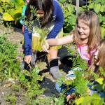 Crescent Harbor celebrates new covered play structure and garden
