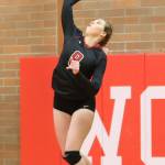 Kyla Briscoe serves for the Wolves Tuesday. (Photo by John Fisken)