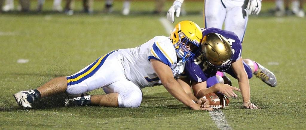 Michael Fisken, right, out-wrestles a Ferndale player for a fumble recovery.(Photo by John Fisken)