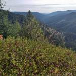 ISLAND UNSEEN| Cle Elum Ridge Run 25K: Sometimes, You Just Have To Show Up