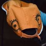 Photo by Laura Guido/Whidbey News-Times