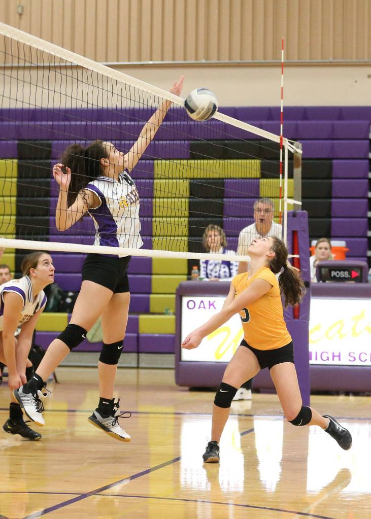 Shorecrest&rsquo;s Hailee Derosier, right, prepares (unsuccessfully) to defend a tip by Jasmine Ford.(Photo by John Fisken)