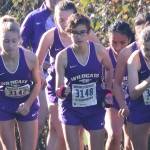 Four Wildcats, one Wolf qualify for state meet / Cross country
