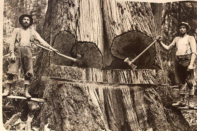 Vannices grandfather, Scotsman Jack Robertson, left, worked as a sawyer in Skagit County where he built his first house. Photo provided