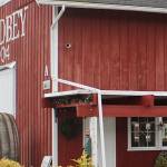 Independence Day Saturday for Greenbank Farm