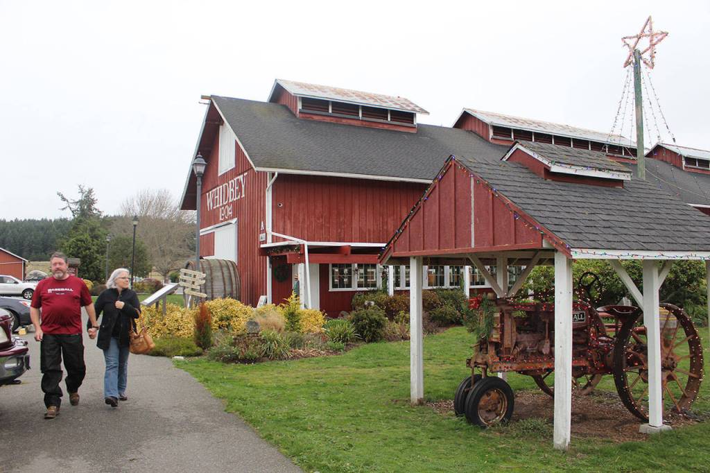 Once a dairy farm and then the nations largest loganberry farm, Greenbank Farm has grown into a popular destination for tourists and locals looking for a place to run their dog, take in panoramic views and get a dash of culture and taste of wine, cheese and pie.