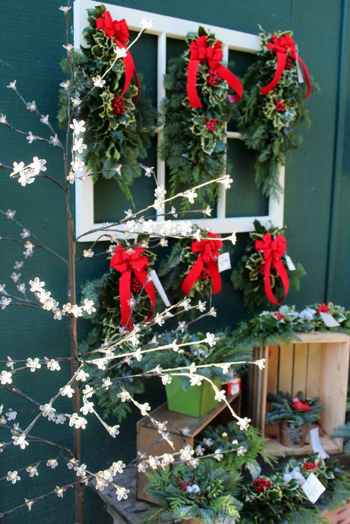 A Knot in Thyme is only open six weeks a year to make holly wreaths, sell trees and stock their store with many handmade and other Christmas gifts. The store is in an old barn thats always decorated in natural beauty.