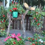 Henderson Holly Farm is also known for its hand-crafted wooden reindeer and outdoor displays created for family photo opportunities.