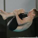 Come on in, the water is (finally) fine / Swim and dive