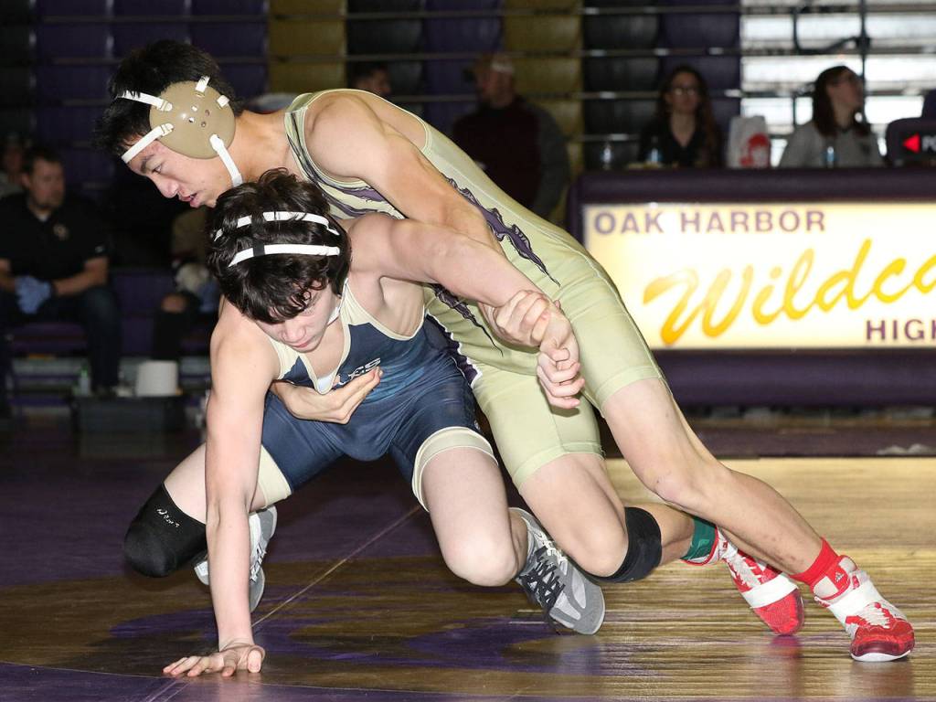 Wildcat Jakob Dailey, top, takes control of Todd Smith.(Photo by John Fisken)