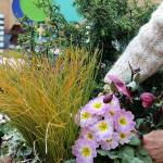 Elements of color, texture, size, shape and foliage figure into container gardening.