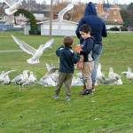 File photo/Whidbey News-Times                                Children feed seagulls at Oak Harbors Windjammer Park.