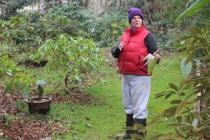 Changes take root at Meerkerk