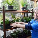 New nursery in Coupeville blooming with energy