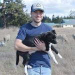 Elijah Iles and his sheep dog-in-training Juniper stand among Iles herd of pregnant ewes on the land he is leasing from the Pacific Rim Institute. Photo by Laura Guido/Whidbey News Group