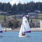 Wildcats place 4th in local regatta / Sailing