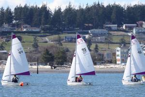 Wildcats place 4th in local regatta / Sailing