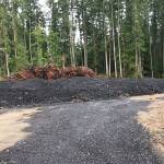 WEAN digs into mounds of discarded asphalt