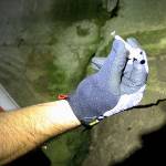 County weighs joining opioid lawsuit