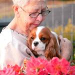 Whidbey woman’s murder trial set to begin Tuesday