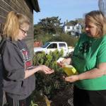 Wynter Arndt and her mother, Georgie Smith, leader of the Kool Kritters 4-H, apply disenfectant to their hands and the bottom of their shoes before handling any rabbits. Its one of several recommended precautions to guard against a deadly virus thats killing feral rabbits in British Columbia. Photos by Patricia Guthrie/Whidbey News Group