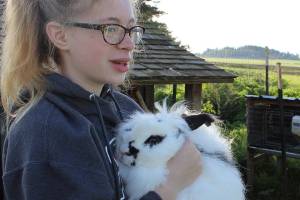 Canada’s deadly rabbit virus may move south