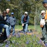 Photos by Maria Matson/Whidbey News-Times                                Consultant biologist Mark Sheehan discusses the nursery run by the Whidbey Camano Land Trust .