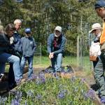 Photos by Maria Matson/Whidbey News-Times                                Consultant biologist Mark Sheehan discusses the nursery run by the Whidbey Camano Land Trust .