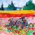 Sketchers draw Whidbey’s world