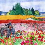 Tulip fields by Faye Castle