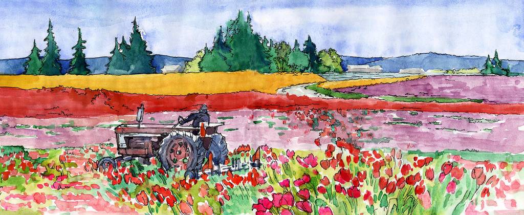 Tulip fields by Faye Castle