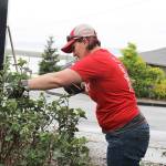 Keller Williams employee Amy Snyder trims a rose bush outside the new location of Garage of Blessings. Photo by Laura Guido/Whidbey News-Times