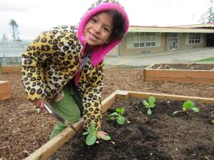Photos provided                                Broad View Elementary School student Layla Williams plants vegetables in the schools garden. Broad View was recently recognized nationally for its environmental and sustainability efforts.