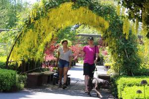 Tunnel vision: Time for ‘Golden chains’