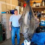 Photo submitted                                Tom Hellinger stands next to a halibut he caught in Puget Sound.